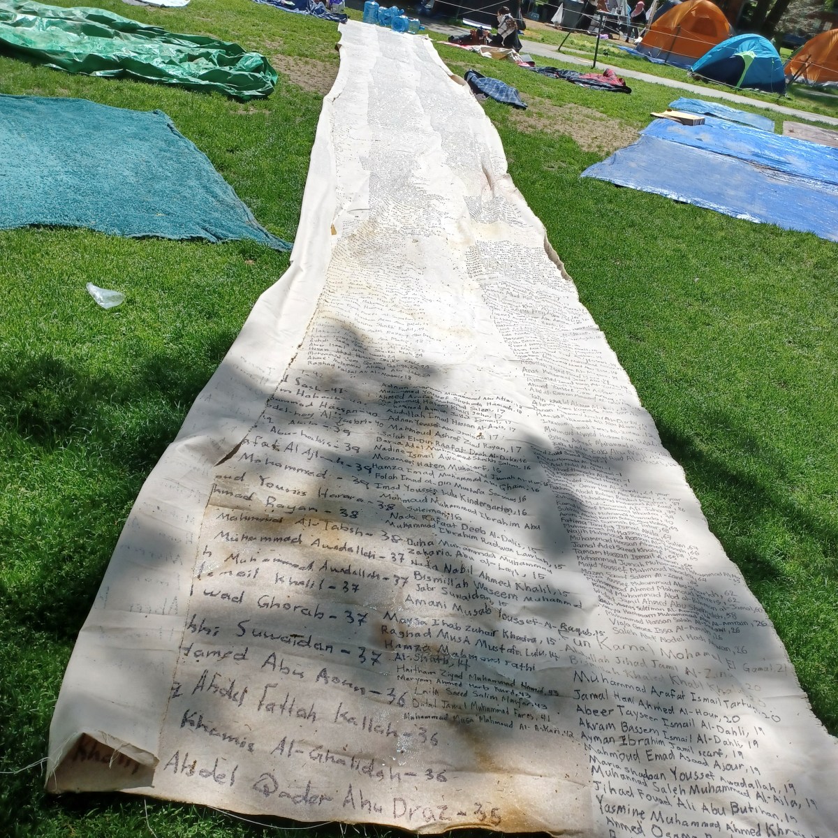 Harvard Protest part&nbsp;3